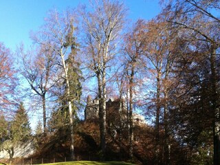 Burgruine Werdenfels