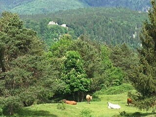 Holiday apartment Garmisch-Partenkirchen Outdoor Recording 6