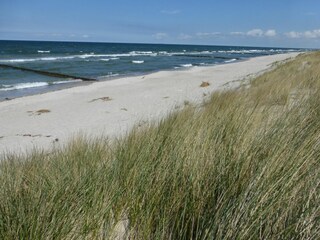 Ferienhaus Fischland-Darß-Zingst Außenaufnahme 4