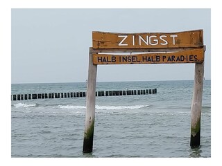 Ferienhaus Fischland-Darß-Zingst Außenaufnahme 5