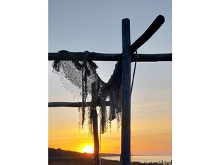 Ferienhaus Fischland-Darß-Zingst Außenaufnahme 6