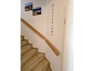 Ferienhaus Fischland-Darß-Zingst Außenaufnahme 28