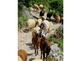 Hiking in the hinterland