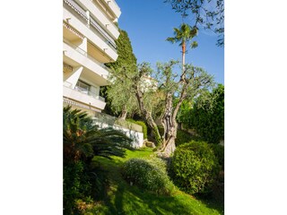 Garden and housing area