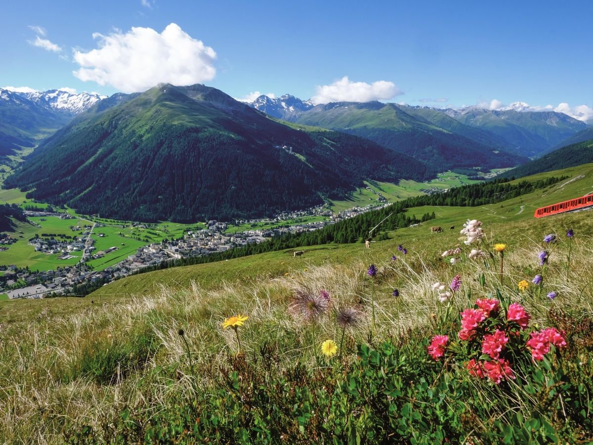 Blick auf Davos