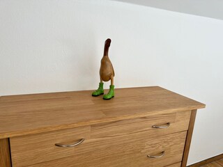 Vakantieappartement Schönau am Königssee Kenmerken 10