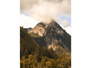 Appartement de vacances Schönau am Königssee Environnement 12