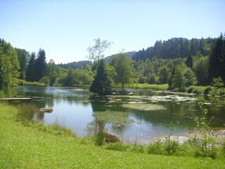 Natursee