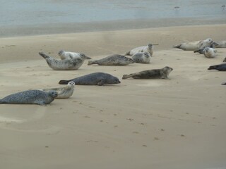 Casa per le vacanze Brouwershaven Ambiente 26