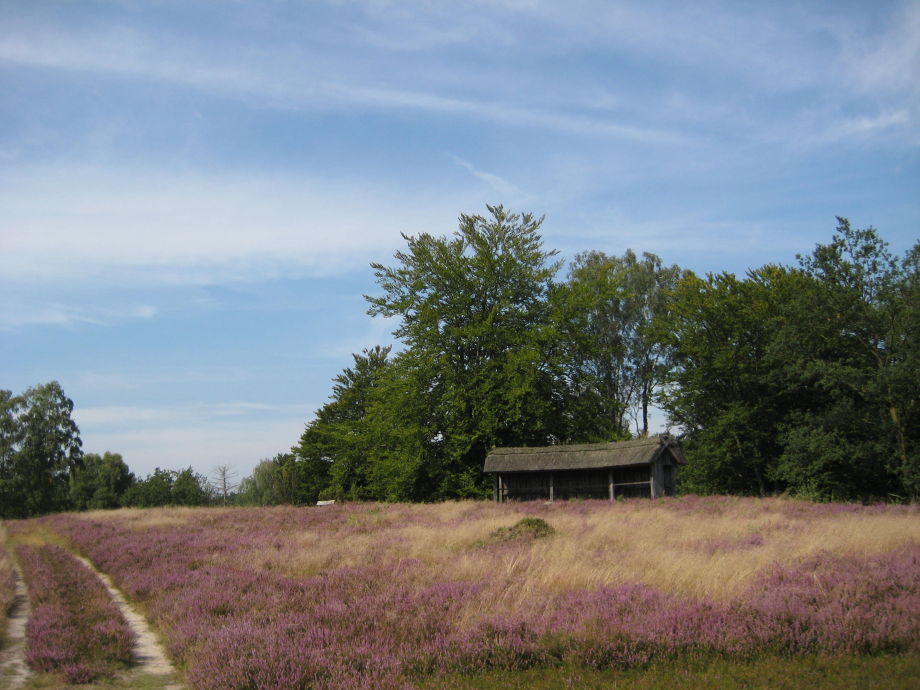 heidelandschaft mit bienenstock