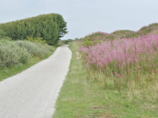 Vakantieappartement Buren Omgeving 20