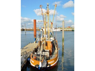 Ferienwohnung Norddeich Umgebung 14