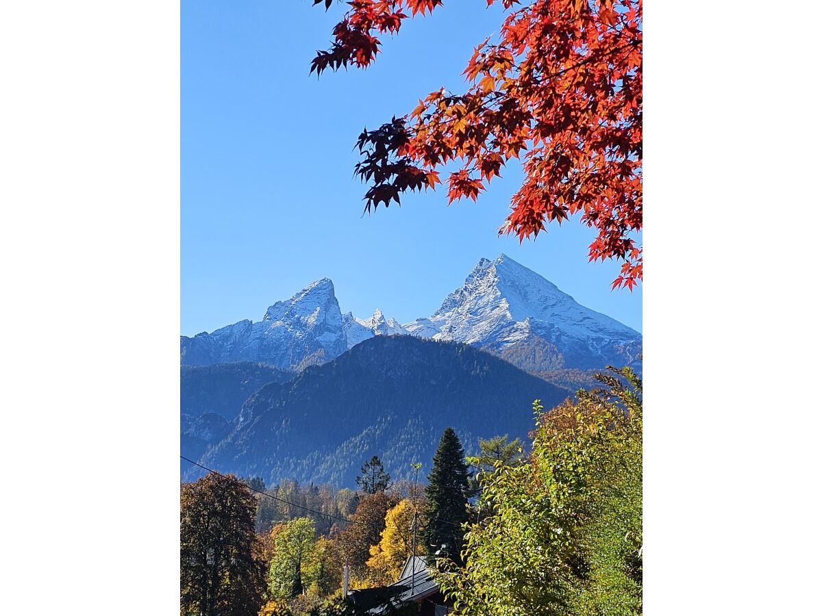 Blick von der Terrasse/Balkon Herbst