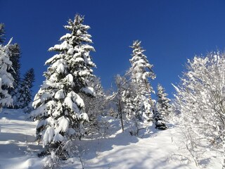 Appartamento per vacanze Tennenbronn Ambiente 30