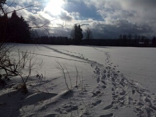 Appartamento per vacanze Tennenbronn Ambiente 35