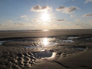 Appartamento per vacanze Bergen (Holland) Ambiente 15