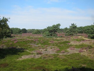 Appartamento per vacanze Bergen (Holland) Ambiente 18