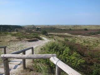 Die Dünen und das Meer in der Ferne