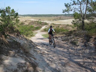 Appartamento per vacanze Bergen (Holland) Ambiente 20