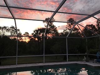 Blick vom Pool in den Garten am Abend