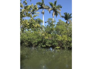 Everglades