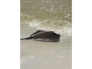 Am Strand