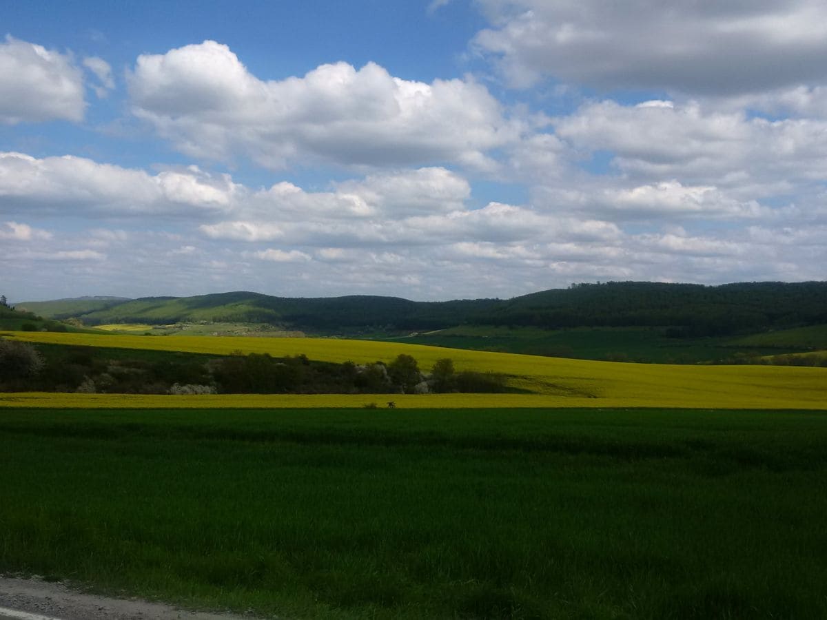 Blick in das Tal der Herpf