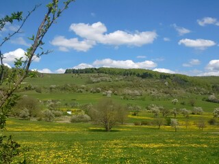 Rhöhn landscape