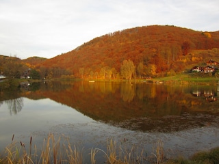 Waldsee Rieden im Herbst