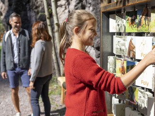 Chalet Hafling Ambiente 36