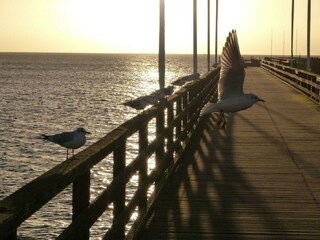 Appartamento per vacanze Großenbrode Ambiente 17