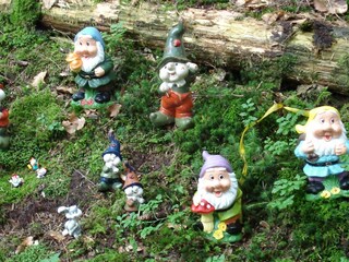 Zwergerl - Waldrunde