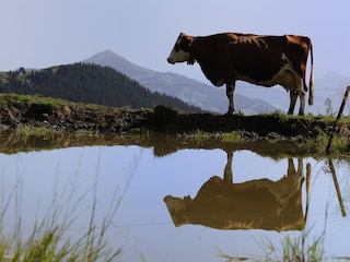 Ruhe - Genuss - Aussicht - Erholen