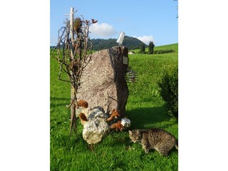 Frisches Quellwasser