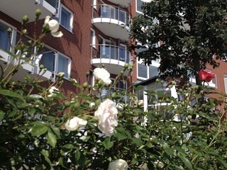 Holiday apartment Sahlenburg Outdoor Recording 2