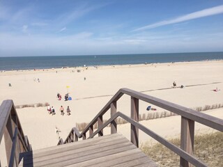 Holiday apartment Petten Environment 11