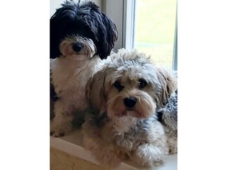 Appartement de vacances Eisenach Enregistrement extérieur 12