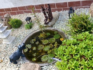 kleiner Bonsaigarten