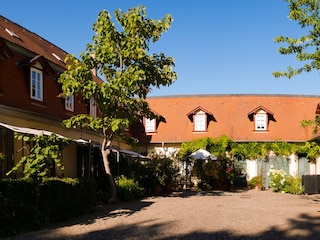 Holiday apartment Freinsheim Outdoor Recording 1