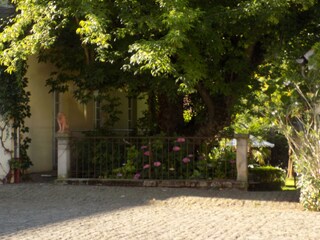 Holiday apartment Freinsheim Outdoor Recording 10