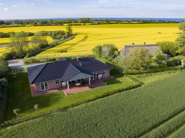 Ferienhaus Pusteblume