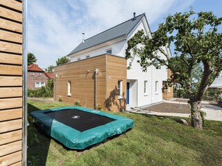 Trampoline and apple tree