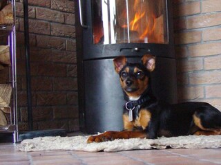 Casa per le vacanze Nordhorn Caratteristiche 23