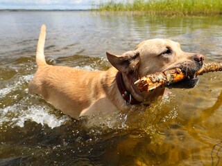 Vakantiehuis Nordhorn Omgeving 39