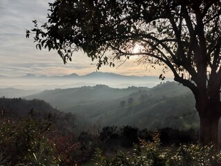 Casa per le vacanze Ripatransone Registrazione all'aperto 5