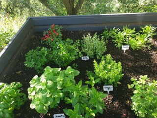 Casa per le vacanze Ripatransone Registrazione all'aperto 7