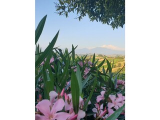 Casa per le vacanze Ripatransone Registrazione all'aperto 9