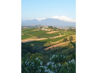 Casa per le vacanze Ripatransone Registrazione all'aperto 11