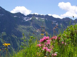 Blick vom Sonnenkopf - Hausberg Altstädten