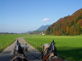 Altstädten Richtung Norden